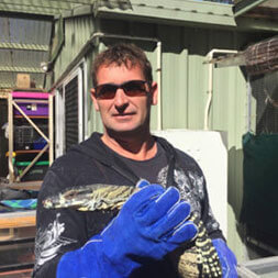 Geoff’s Services Wildlife Services Working with Iguana